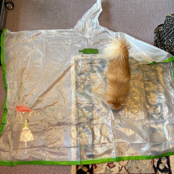 Absolut x Kate Spade Poncho - Picture 2 of 3